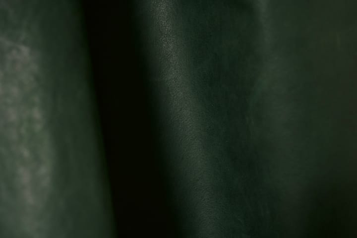 緑の革